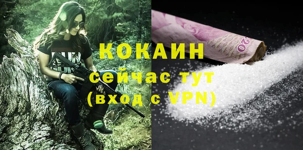 стаф Пересвет