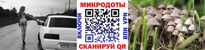 hydra маркетплейс  Таруса  Галлюциногенные грибы Psilocybine cubensis 